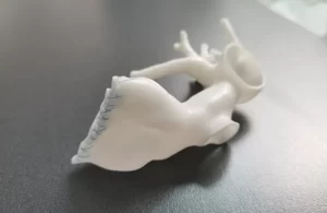 Articolo_Formazione_medica_Gallery_1