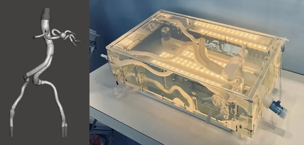 Articolo_Formazione_medica_Gallery_5