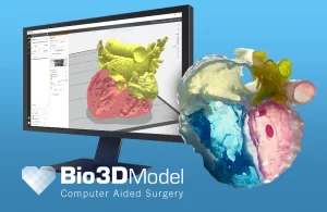 Bio3DModel_Prova_Digital_Anatomy