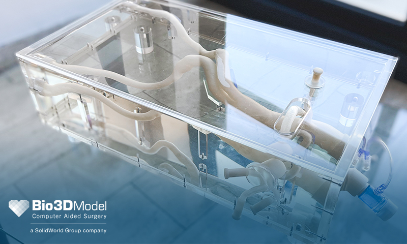 Simulatore-Aortico-6B